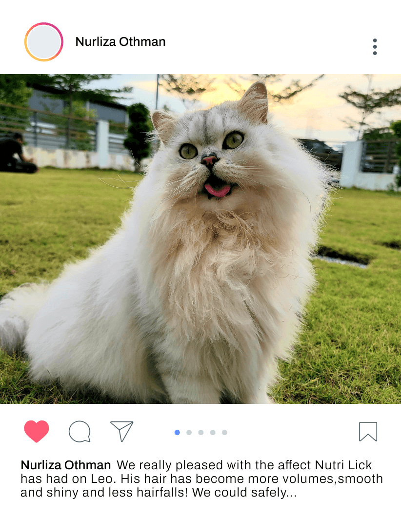 Furvitpet For Cat Lovers