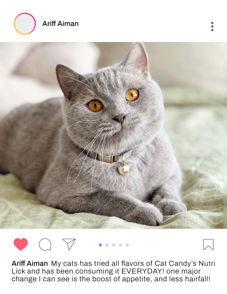 Furvitpet For Cat Lovers